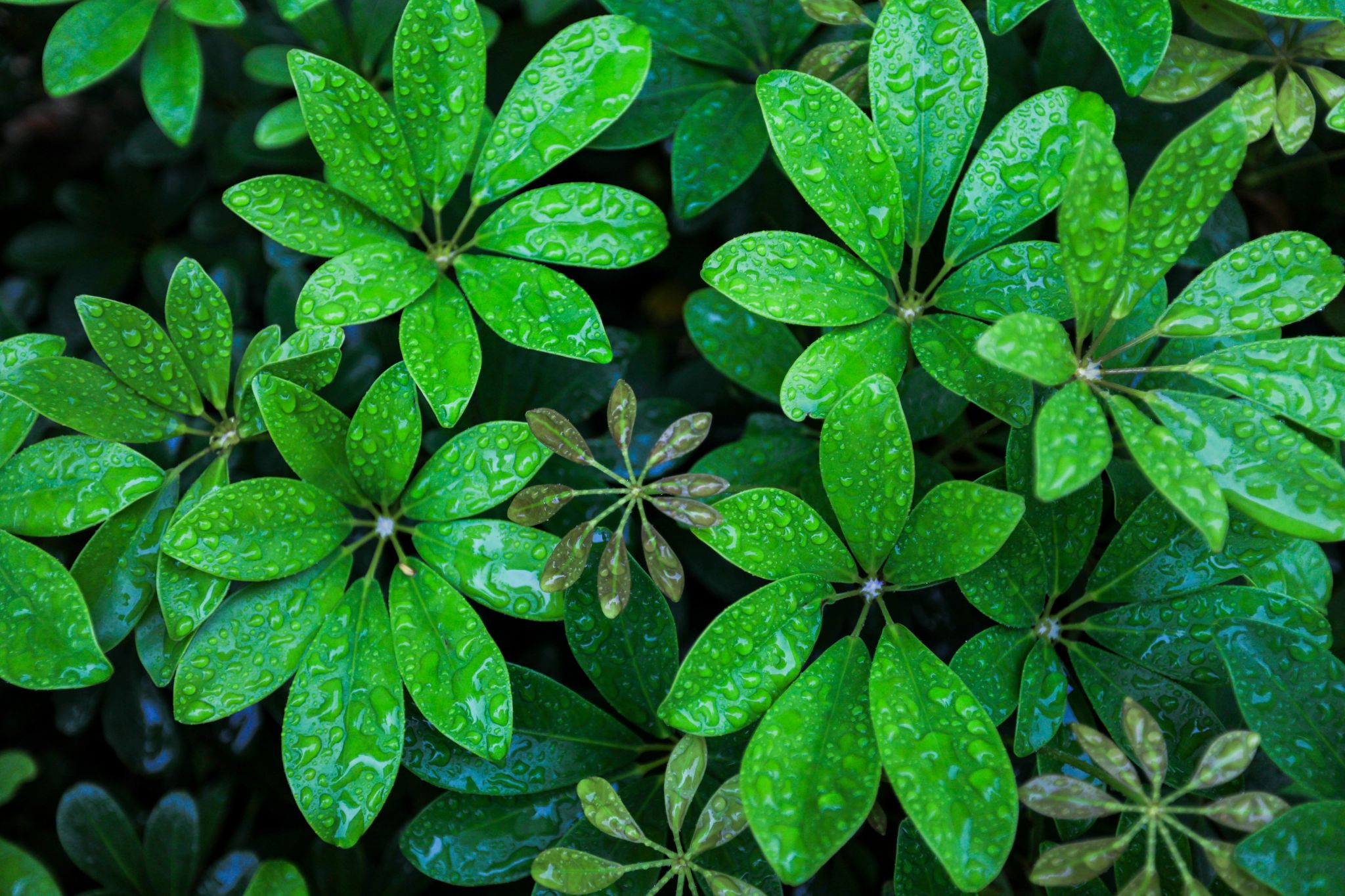 4197BE92454E38B8C479728741E_3B5C3400_71C75 4197BE92454E38B8C479728741E_3B5C3400_71C75