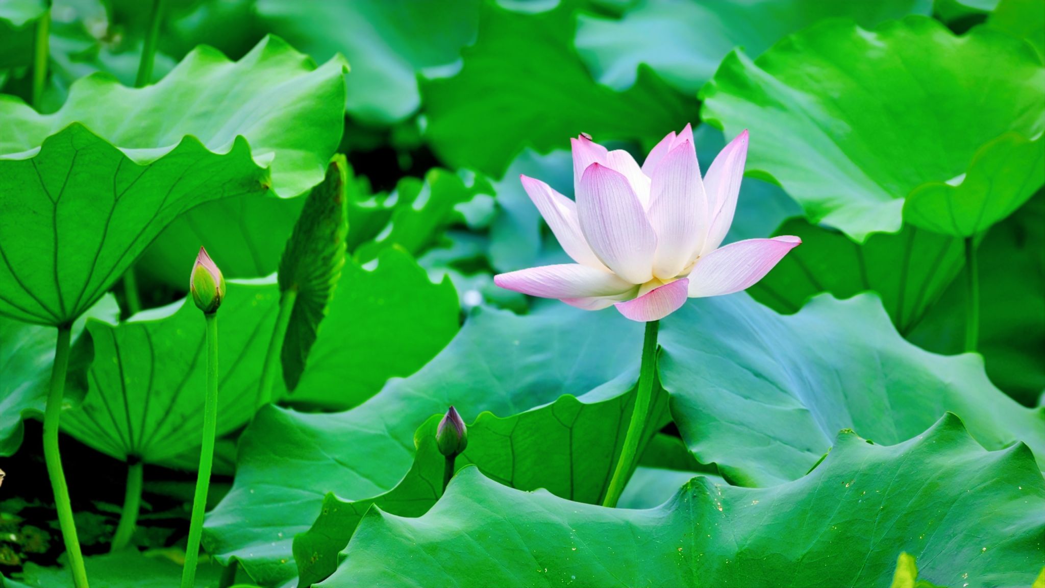 23A846E2DF49D2E8E947284BC8F_984AB1D5_35A3F 23A846E2DF49D2E8E947284BC8F_984AB1D5_35A3F