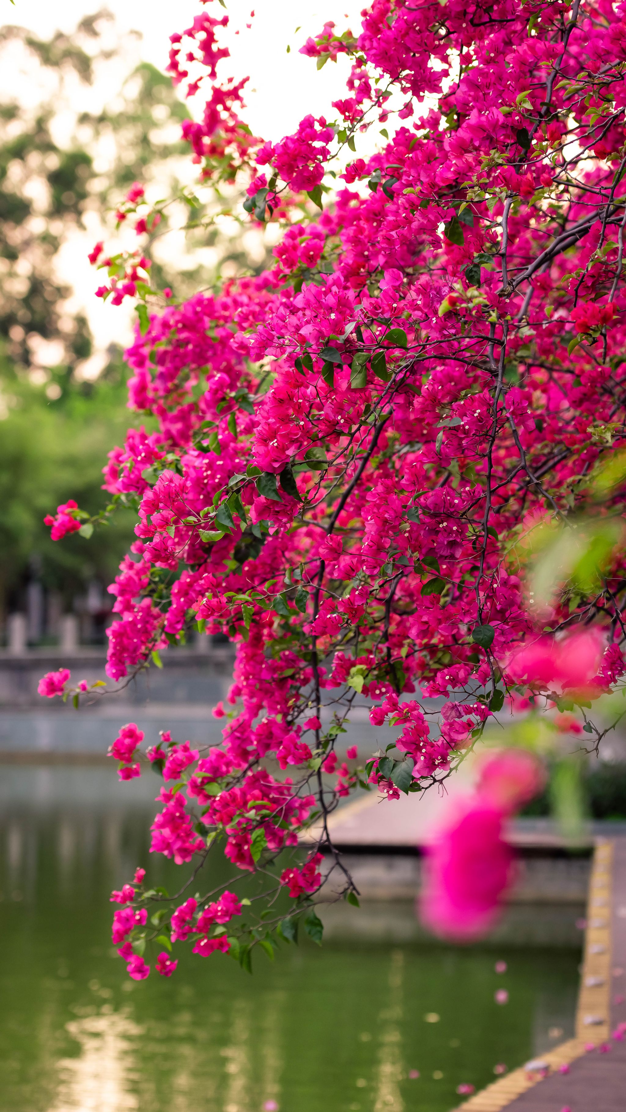 F7FF8AD26EE59A71554F18CB4A9_BA2F404B_FA927 F7FF8AD26EE59A71554F18CB4A9_BA2F404B_FA927