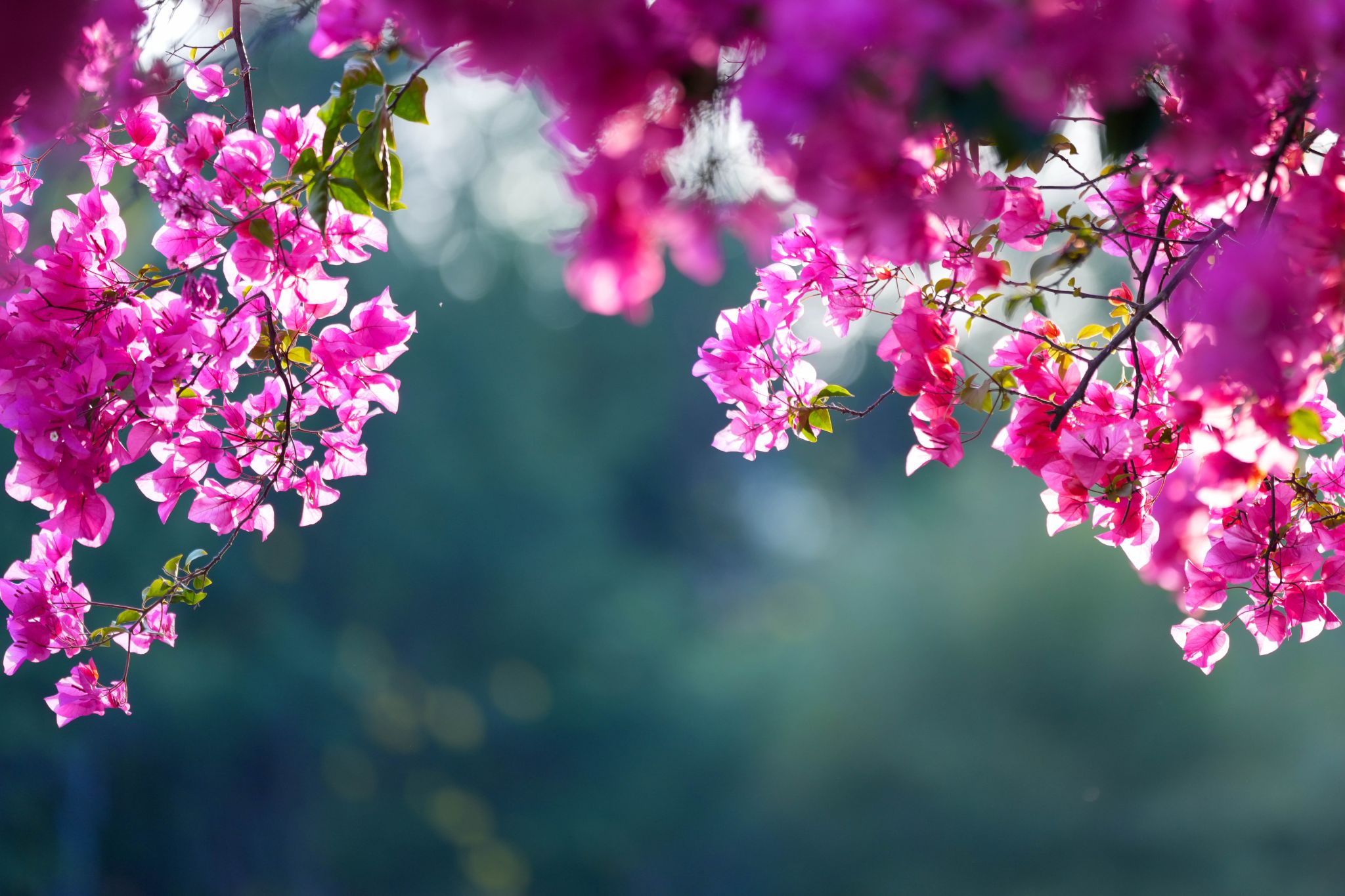 A876B91117A5B3FDBE63BF945AB_93CFC048_50B8D A876B91117A5B3FDBE63BF945AB_93CFC048_50B8D