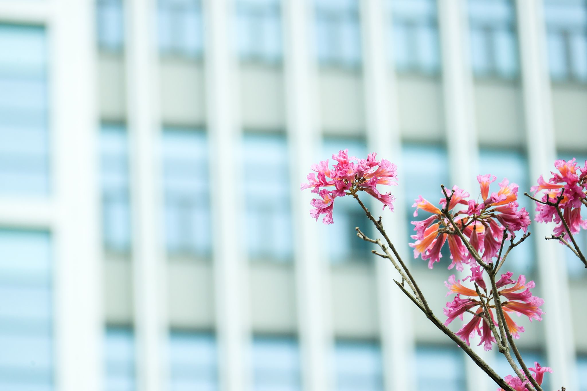 4B790C3CCF0A783B96F7D830989_AEC5AD08_2E06A 4B790C3CCF0A783B96F7D830989_AEC5AD08_2E06A