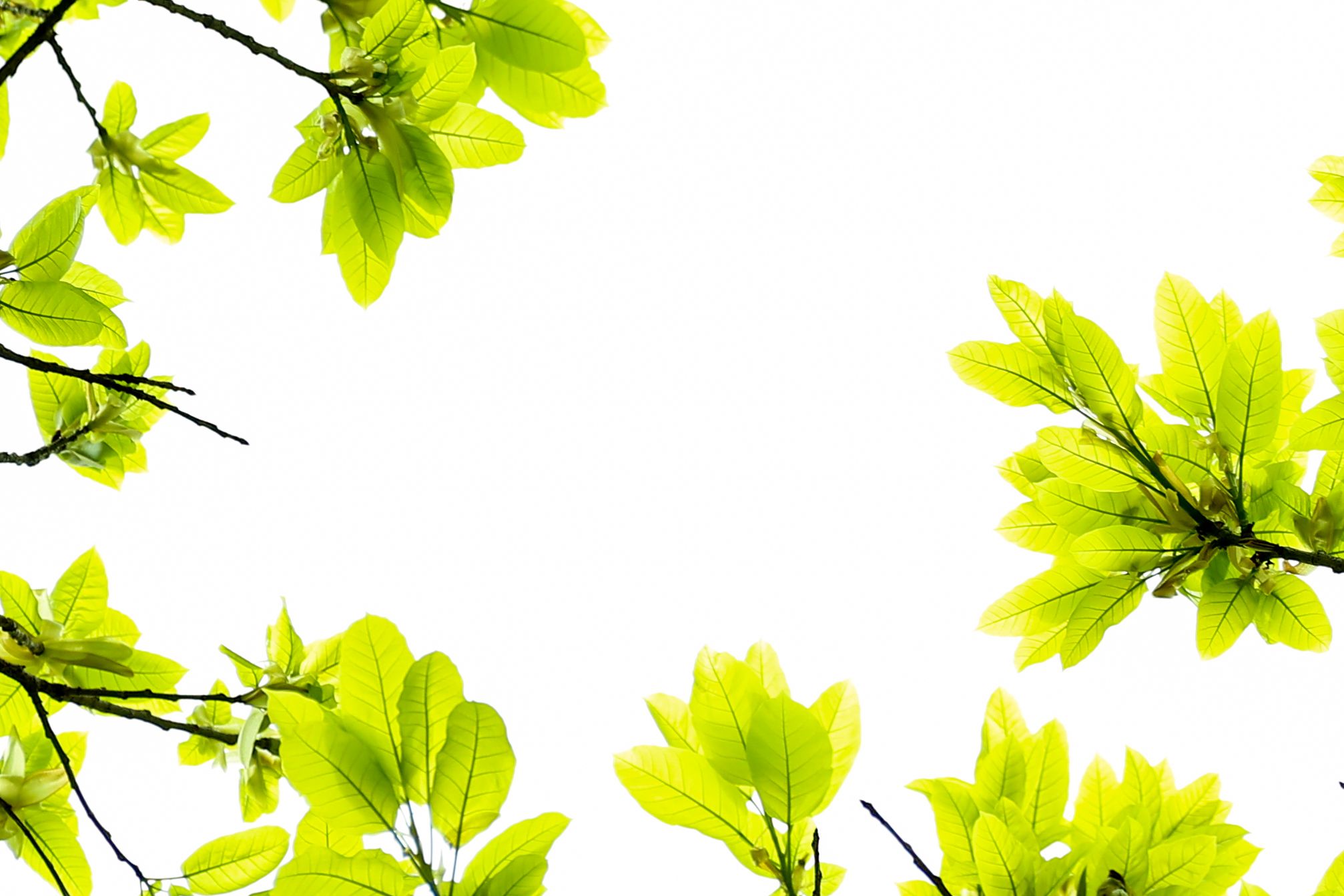 F1C5705BF27153BEDBF082E49CE_416D41D1_33D80 F1C5705BF27153BEDBF082E49CE_416D41D1_33D80