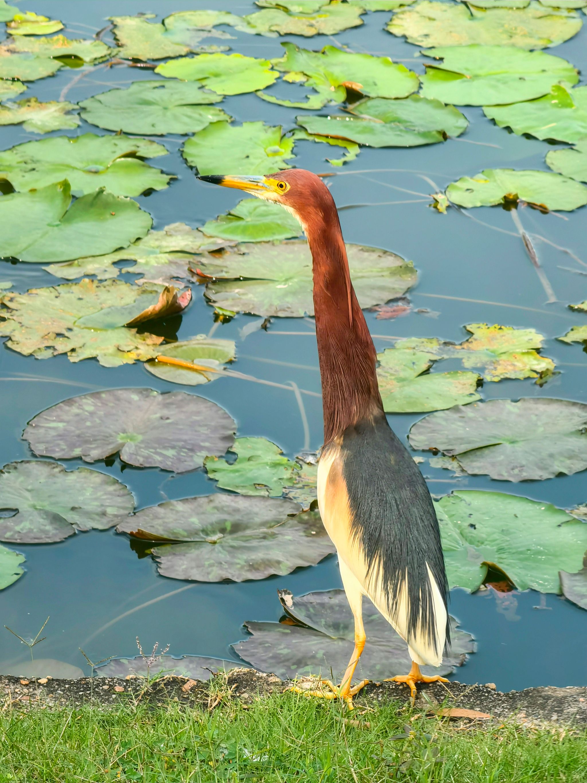 06BCCA4E202C507A5A1F3F32103_06076BAE_AB0E6 06BCCA4E202C507A5A1F3F32103_06076BAE_AB0E6